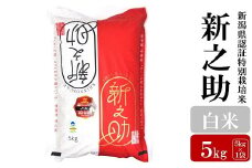 【令和6年産米】新之助 白米 5kg 新潟県認証特別栽培米 お米 新潟県産 アグリーホンマ[Y0366]