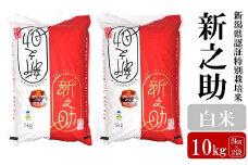 【令和6年産米】新之助 白米 10kg（5kg×2袋）新潟県認証特別栽培米 お米 新潟県産 アグリーホンマ[Y0368]