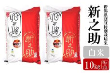 【令和6年産米】新之助 白米 10kg（5kg×2袋）新潟県認証特別栽培米 お米 新潟県産 アグリーホンマ[Y0368]