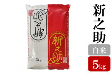 令和6年産米【五ツ星お米マイスター厳選】新之助 白米 5kg[Y0434]
