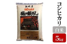 令和6年産米【五ツ星お米マイスター厳選】コシヒカリ 白米 5kg[Y0446]