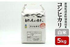 【令和6年産米】コシヒカリ 白米 5kg 新潟県認証特別栽培米[Y0487]