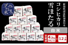 【12ヶ月定期便】甘味の強いプレミアム米 雪ほたる 新潟県認証特別栽培米 コシヒカリ 白米 真空パック 4.2kg（300g×14個）×12回（計 50.4kg） アグリーホンマ[Y0514]