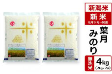 【先行予約・令和7年産新米・8月下旬～発送】新潟米 葉月みのり 無洗米 4kg ヤタらうんめぇお米 水田環境鑑定士在籍[Y0194]
