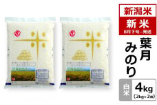 【先行予約・令和7年産新米・8月下旬～発送】新潟米 葉月みのり 白米 4kg ヤタらうんめぇお米 水田環境鑑定士在籍[Y0195]
