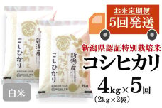 【先行予約・令和7年産新米・5ヶ月定期便】コシヒカリ 白米 4kg（2kg×2袋）×5回（計 20kg）ヤタらうんめぇお米 水田環境鑑定士在籍[Y0506]