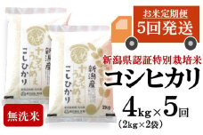 【先行予約・令和7年産新米・5ヶ月定期便】コシヒカリ 無洗米 4kg（2kg×2袋）×5回（計 20kg）ヤタらうんめぇお米 水田環境鑑定士在籍[Y0507]