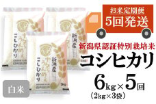 【先行予約・令和7年産新米・5ヶ月定期便】コシヒカリ 白米 6kg（2kg×3袋）×5回（計 30kg）ヤタらうんめぇお米 水田環境鑑定士在籍[Y0508]