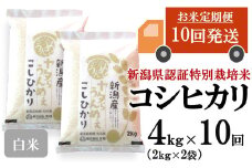 【先行予約・令和7年産新米・10ヶ月定期便】コシヒカリ 白米 4kg（2kg×2袋）×10回（計 40kg）ヤタらうんめぇお米 水田環境鑑定士在籍[Y0510]