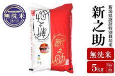 【先行予約・令和7年産新米】新之助 無洗米 5kg 新潟県認証特別栽培米 お米 新潟県産 アグリーホンマ[Y0537]