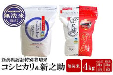 【先行予約・令和7年産新米】新潟県認証特別栽培米 コシヒカリ・新之助 無洗米 各2kg（計 4kg） 食べ比べセット アグリーホンマ[Y0540]