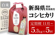 新米先行予約【5ヶ月定期便・11月～発送】コシヒカリ 白米 5kg（ペットボトル米 300g 1本付き）×5回 （計 26.5kg）重ちゃんのお米 令和7年産 [Y0076]