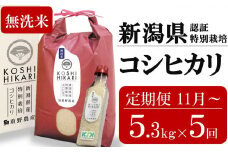 新米先行予約【5ヶ月定期便・11月～発送】コシヒカリ 無洗米 5kg（ペットボトル米 300g 1本付き）×5回 （計 26.5kg）重ちゃんのお米 令和7年産 [Y0077]