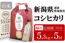 新米先行予約【隔月5ヶ月定期便・11月～発送】コシヒカリ 白米 5kg（ペットボトル米 300g 1本付き）×隔月5回 （計 26.5kg）重ちゃんのお米 令和7年産 [Y0078]
