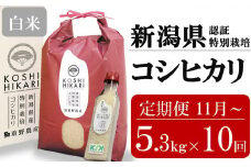 新米先行予約【10ヶ月定期便・11月～発送】コシヒカリ 白米 5kg（ペットボトル米 300g 1本付き）×10回 （計 53kg）重ちゃんのお米 令和7年産 [Y0080]