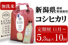 新米先行予約【10ヶ月定期便・11月～発送】コシヒカリ 無洗米 5kg（ペットボトル米 300g 1本付き）×10回 （計 53kg）重ちゃんのお米 令和7年産 [Y0081]