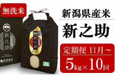 新米先行予約【10ヶ月定期便・11月～発送】新之助 無洗米 5kg×10回 （計 50kg）重ちゃんが愛情込めて作ったお米 令和7年産 [Y0084]