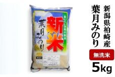 【令和7年産新米】葉月みのり 無洗米 5kg 中村農研 お米[Y0545]