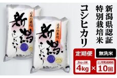 先行予約【令和7年産新米・10ヶ月定期便】コシヒカリ 無洗米 4kg（2kg×2袋）×10回（計 40kg） 新潟県認証特別栽培米 中村農研 [Y0542]