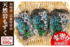 【素潜り漁師直送】新潟県柏崎産 天然岩もずく塩漬け 600g（200g×3袋）| 日本海産 塩蔵もずく 塩もずく[ZB586]