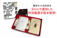【先行予約・令和7年産新米】コシヒカリ 3.3kg・新之助 3.3kg 食べ比べセット 無洗米 （計 6.6kg） 重米セット [Y0085]