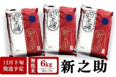 【12月下旬発送】令和7年産新米 新之助 無洗米 6kg（2kg×3袋）田村農産 しんのすけ[Y0097]