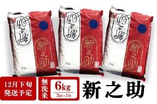 【12月下旬発送】令和7年産新米 新之助 無洗米 6kg（2kg×3袋）田村農産 しんのすけ[Y0097]