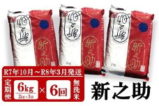 【R7年10月～R8年3月発送・6回定期便】新之助 無洗米 6kg（2kg×3袋）×6回（計36kg）令和7年産新米 田村農産 しんのすけ[Y0093]