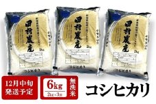 【12月中旬発送】令和7年産新米 コシヒカリ 無洗米 6kg（2kg×3袋）田村農産[Y0272]