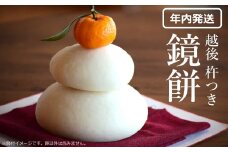 【年内発送・数量限定】上野さんちの杵つき 鏡餅 正月飾り[Y0553]