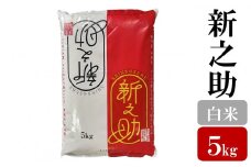【先行予約】令和7年産新米【五ツ星お米マイスター厳選】新之助 白米 5kg[Y0564]