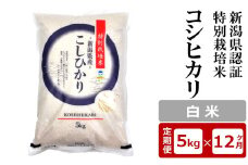 【12ヶ月定期便】新潟県認証特別栽培米 コシヒカリ 白米 5kg×12回（計 60kg）アグリーホンマ[Y0370]