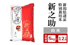 【12ヶ月定期便】新潟県認証特別栽培米 新之助 白米 5kg×12回（計 60kg）アグリーホンマ[Y0374]
