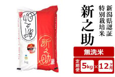【12ヶ月定期便】新潟県認証特別栽培米 新之助 無洗米 5kg×12回（計 60kg）アグリーホンマ[Y0375]