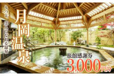 旅行券 月岡温泉 利用券 感謝券 3,000円分 ( 1,000円 × 3枚 )  父の日 新潟県 温泉 旅行 宿泊 宿泊チケット 旅行チケット チケット 体験 トラベル チケット 観る 遊ぶ 食べる 泊まる 金券 風呂 ホテル 旅館 老舗 観光 観光地 国内旅行 旅行券 宿泊券 利用券 ゴルフ 国内 新潟 新発田 A01