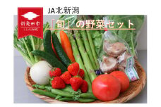 野菜 旬 新鮮 セット 食べ比べ 詰め合わせ 新潟県産 新発田産 産地 直送 鮮度 食育 ソムリエ 厳選 選りすぐり  おまかせ 季節 旬 国産 やさい 特産品 ヤサイ 季節の野菜 果物 新潟県 新発田市 ( キャベツ アスパラガス 山菜 枝豆 トマト ナス いちじく かぼちゃ さといも オータムポエム ほうれん草 原木 しいたけ )