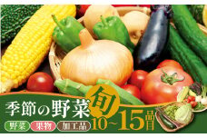 野菜 旬 おすすめセット Lサイズ 10～15種類 通年受付 詰め合わせ 加工品 常備菜 アスパラガス かぶ レタス 山菜 トマト きゅうり 枝豆 トウモロコシ なす オクラ かぼちゃ ばれいしょ たまねぎ 里芋 さつまいも 長芋 ごぼう ねぎ ブロッコリー 柿 アスパラ菜 プチベール ケール にんじん えのき 干柿 新潟 新発田 野菜 セット 通年 季節 旬 お楽しみ C31_02