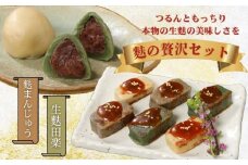 お菓子 和菓子 スイーツ 宮村の生麩・麩 まんじゅう 贅沢 セット【 生麩 麩 麩まんじゅう 生麩田楽 宮村製麩所 菓子 生麩 冷凍 麩屋 国産もち粉 セット 田楽味噌 和スイーツ よもぎ 粒あん 母の日 ギフト 】 I26