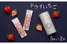 【先行予約】ドライいちご 10袋 6月発送 国産 スライス 小分け 常温 越後姫 フルーツ 果物 ドライ いちご 苺 ドライフルーツ 贈答 プレゼント ギフト おつまみ Ichi-Rin 苺禀 新潟県 新発田市 J01_01