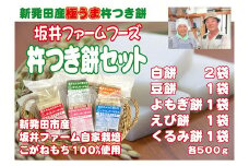 杵つき餅セット 餅5種6袋 ふるさと直送  餅 もち セット 坂井ファーム 正月 お正月 きねつきもち おもち せいだ 新潟 新発田 C33_01