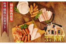 越後ハム特選 ハム・ベーコン・ウインナーギフトセット 計900g 指定日可 肉 加工品 ハム ベーコン ウインナー ギフト セット 越後ハム  父の日 贈答 新潟県産 指定日 のし 熨斗 越後ハム 新潟県 新発田市 J06