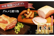越後ハム特選 ハム・ベーコン・ウインナーギフトセット 計910g 指定日可 【 肉 加工品 ハム ベーコン ウインナー ギフト 父の日  セット 越後ハム 贈答 新潟県産 指定日 のし 熨斗 越後ハム 新潟県 新発田市 J07
