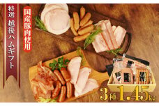 越後ハム特選 ハム・ベーコン・ウインナーギフトセット 計1450g 指定日可 【  肉 加工品 ハム ベーコン ウインナー ギフト セット 父の日 越後ハム 贈答 新潟県産 指定日 のし 熨斗 越後ハム 新潟県 新発田市 J08