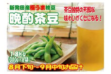 晩酌のお供におすすめ！ 晩酌茶豆 1.8kg 【 数量限定 1.8kg 晩酌茶豆 茶豆 枝豆 先行予約 新潟産 ビール C18_01 】