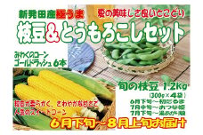 夏の味覚の最強コンビ♡枝豆＆とうもろこしセット【 新潟県 新発田産 枝豆 とうもろこし セット 先行予約 数量限定 C21_01  】