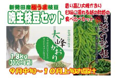 貴重な枝豆！ 晩生（おくて）枝豆 1.8kg 【 数量限定 1.8kg 枝豆 茶豆 新潟産 つまみ 晩生  C43_01 】