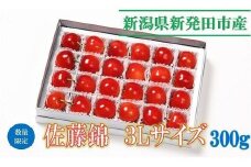 【令和7年産先行予約】 佐藤錦3L 300g 【 さくらんぼ サクランボ 佐藤錦 竹内果園 果物の宝石 贈答 プレゼント 季節限定 数量限定 3L  先行予約 C04_01 】