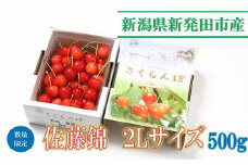 【令和7年産先行予約】 佐藤錦2L 500g【 さくらんぼ サクランボ 佐藤錦 竹内果園  季節限定 数量限定 2L 先行予約 C05_01 】