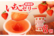 えちごひめ いちご ゼリー 8個 越後姫 苺 イチゴ フルーツ 果物 ゼリー  シャーベット くだもの 贈答 ギフト 贈り物 今川屋 新発田 新潟 J12_01