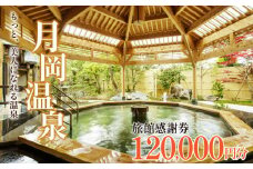 旅行券 月岡温泉 利用券 感謝券 120,000円分 ( 1,000円 × 120枚 )  ゴールデンウイーク GW 母の日  新潟県 温泉 旅行 宿泊 宿泊チケット 旅行チケット チケット 体験 トラベル チケット 観る 遊ぶ 食べる 泊まる 金券 風呂 ホテル 旅館 老舗 観光 観光地 国内旅行 旅行券 宿泊券 利用券 ゴルフ 国内 新潟 新発田 A01_40